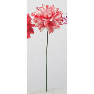 �y���ԁz�A�X�J/�_���A�s�b�N ���b�h�z���C�g/A-35293-2W�y01�z ���ԁi�A�[�e�B�t�B�V�����t�����[�j �_���A �t�F�C�N�t�����[ �V���N�t�����[ �C���e���A �ԍ� ���� �f�B�X�v���C ���� �A����