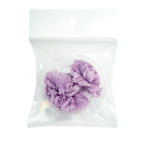 �y�v���U�[�u�h�z�t���[���G�o�[/+FLOWER�~�j�J�[�l�[�V���� 2P �\�t�g���C���b�N/FLS12002-43�y07�z �v���U�[�u�h�t�����[ �v���U�[�u�h�t�����[�ԍ� ���s �J�[�l�[�V���� �ԍ� �n���h���C�h��