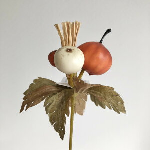 yԁzroH|/VEG|5628 ~jpvL OR/VEG-5628y01z ԁiA[eBtBVt[j ԎAtFCNt[c J{`EpvL