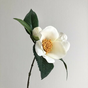 yԁzroH|/VT|R304 NEWV[gcoL WH/VT-R304y01z ԁiA[eBtBVt[j  ԍށusv coLiցj