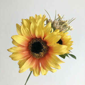 yԁzroH|/VT-2126 Tt[MIX/VT-2126y01z ԁiA[eBtBVt[j  ԍށu͍sv Ђ܂