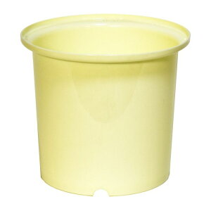 LEAD STYLE/GVԑpIgV AC{[/GV111111y01z[12] ԊA[X ԊEԕr ԉ/ԓ/oPc