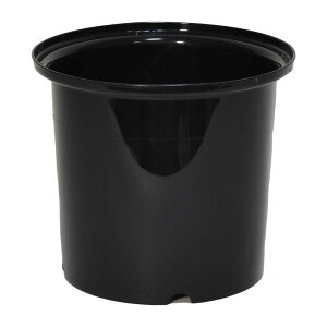 LEAD STYLE/GVԑpIgV ubN/GV11111By01z[12] ԊA[X ԊEԕr ԉ/ԓ/oPc