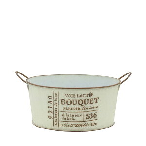 Aؔ  CARNAC/u[PAWL-WH zCg/HSVE02WHy01z K[fjOE|pi t[|bg ACAEuL