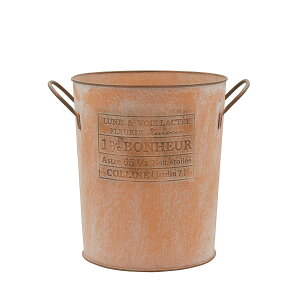 Aؔ  CARNAC/u[PO5-OR IW/HSVE07ORy01z K[fjOE|pi t[|bg ACAEuL