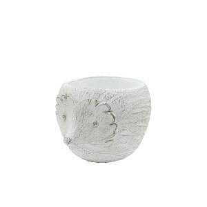CARNAC/�����X�|�b�g�n���l�Y�~/CW16�y01�z[4��] �K�[�f�j���O�E���|�p�i �A�ؔ��E�t�����[�|�b�g �Z�����g�� �� �O�b�Y ���� �ƒ�؉� �ϗt�A�� ������� ���킢�� �� ���ǂ��̓� ������ ������