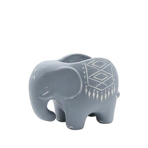 CARNAC/TnAj}hDEGt@gBL u[/CP2545BLy01z K[fjOE|pi AؔEt[|bg Zg