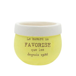 Aؔ  CARNAC/ptc[gEhL-YE CG[/CP2512YEy01z K[fjOE|pi t[|bg eRb^(fĂ)