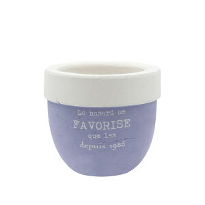 Aؔ  CARNAC/ptc[gx[VbNM-BL u[/CP2515BLy01z K[fjOE|pi t[|bg eRb^(fĂ)