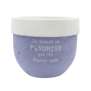 CARNAC/ptc[gx[VbNL-BL u[/CP2516BLy01z K[fjOE|pi AؔEt[|bg eRb^(fĂ)