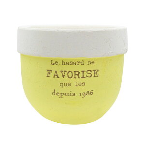 Aؔ  CARNAC/ptc[gx[VbNL-YE CG[/CP2516YEy01z K[fjOE|pi t[|bg eRb^(fĂ)