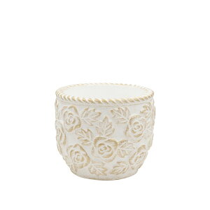 Aؔ  CARNAC/x[Yx[VbNM-WG zCg×S[h/CQ2513WGy01z K[fjOE|pi t[|bg Zg