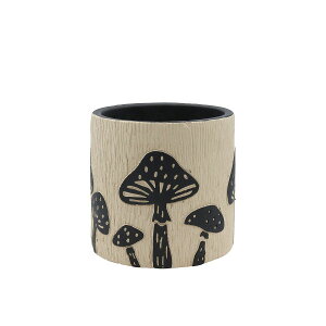 CARNAC/BNg|bgA-L/CP878Ly01z K[fjOE|pi AؔEt[|bg Zg