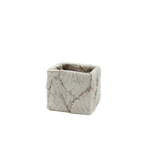 Aؔ  CARNAC/[tXNGAS-WH zCg/GR111WHy01z[4] K[fjOE|pi t[|bg Zg