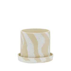 CARNAC/TCNXg[B-S-BE x[W/RY04BEy01z K[fjOE|pi AؔEt[|bg EZ~bN