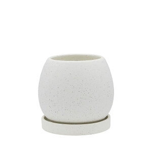 Aؔ  CARNAC/TCNXg[A-M-WH zCg/RY02WHy01z K[fjOE|pi t[|bg EZ~bN