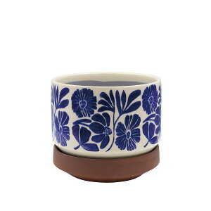 �A�ؔ� ������� CARNAC/���[�S���|�b�gF-S-BL �u���[/YS15�y01�z �K�[�f�j���O�E���|�p�i �t�����[�|�b�g ����E�Z���~�b�N��