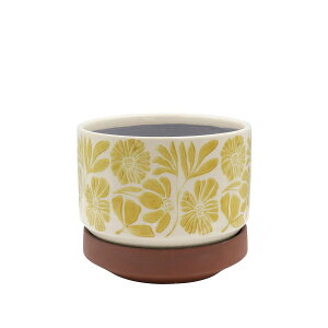 Aؔ  CARNAC/[S|bgF-S-YE CG[/YS16y01z K[fjOE|pi t[|bg EZ~bN