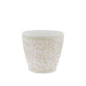 Aؔ  CARNAC/~j[Yx[VbNL-IG AC{[×S[h/FC052IGy01z K[fjOE|pi t[|bg 