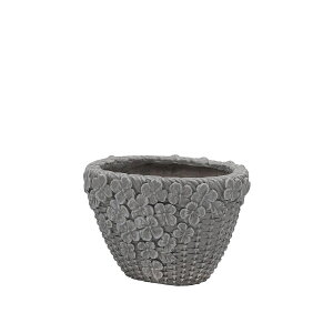 Aؔ  CARNAC/G[[oXPbgI[onCS-BR uE/GFB461BRy01z K[fjOE|pi t[|bg OXt@Co[