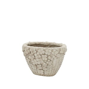 Aؔ  CARNAC/G[[oXPbgI[onCS-IV AC{[/GFB461IVy01z K[fjOE|pi t[|bg OXt@Co[