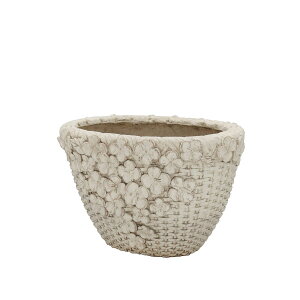 Aؔ  CARNAC/G[[oXPbgI[onCL-IV AC{[/GFB462IVy01z K[fjOE|pi t[|bg OXt@Co[