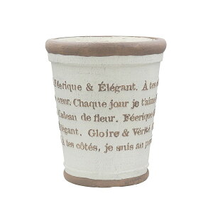 CARNAC/AeB[N^[|bgOIV AC{[/GFB450IVy01z K[fjOE|pi AؔEt[|bg OXt@Co[