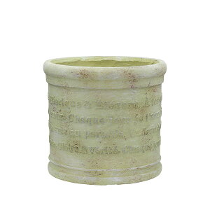 Aؔ  CARNAC/AeB[N^[|bgV_[L-MO X/GFB454MOy01z K[fjOE|pi t[|bg OXt@Co[