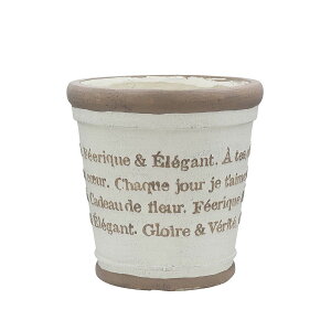 Aؔ  CARNAC/AeB[N^[|bgx[VbNL-IV AC{[/GFB458IVy01z K[fjOE|pi t[|bg OXt@Co[