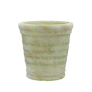 CARNAC/AeB[N^[|bgx[VbNL-MO X/GFB458MOy01z K[fjOE|pi AؔEt[|bg OXt@Co[