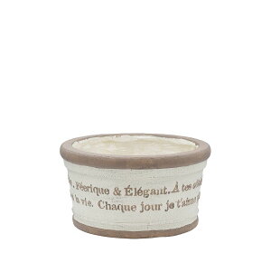 Aؔ  CARNAC/AeB[N^[|bg[|bgS-IV AC{[/GFB451IVy01z K[fjOE|pi t[|bg OXt@Co[