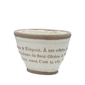 Aؔ  CARNAC/AeB[N^[|bgI[onCL-IV AC{[/GFB456IVy01z K[fjOE|pi t[|bg OXt@Co[