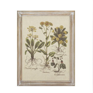 CARNAC/{^jbNt[02/JFB014y01z X܃fBXvCEX Ǌ|EEH[fR EH[A[gEsN`[