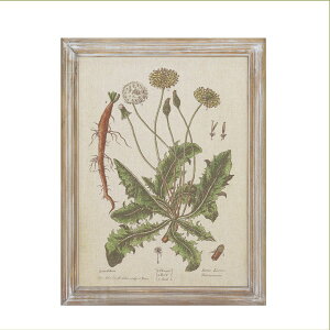 CARNAC/{^jbNt[03/JFB015y01z X܃fBXvCEX Ǌ|EEH[fR EH[A[gEsN`[