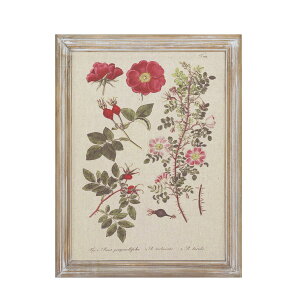 CARNAC/{^jbNt[05/JFB017y01z X܃fBXvCEX Ǌ|EEH[fR EH[A[gEsN`[