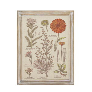 CARNAC/{^jbNt[06/JFB018y01z X܃fBXvCEX Ǌ|EEH[fR EH[A[gEsN`[