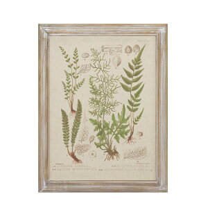 CARNAC/{^jbNt[09/JFB021y01z X܃fBXvCEX Ǌ|EEH[fR EH[A[gEsN`[