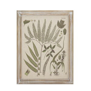 CARNAC/{^jbNt[10/JFB022y01z X܃fBXvCEX Ǌ|EEH[fR EH[A[gEsN`[