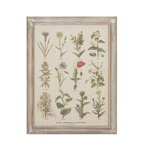 CARNAC/{^jbNt[11/JFB023y01z X܃fBXvCEX Ǌ|EEH[fR EH[A[gEsN`[