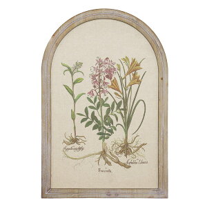 CARNAC/{^jbNt[A/JFB011y01z X܃fBXvCEX Ǌ|EEH[fR EH[A[gEsN`[