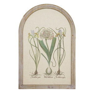 CARNAC/{^jbNt[B/JFB012y01z X܃fBXvCEX Ǌ|EEH[fR EH[A[gEsN`[