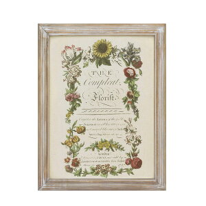 CARNAC/{^jbNt[13/JFB025y01z X܃fBXvCEX Ǌ|EEH[fR EH[A[gEsN`[