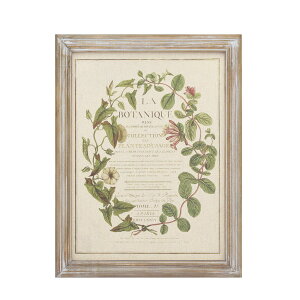 CARNAC/{^jbNt[14/JFB026y01z X܃fBXvCEX Ǌ|EEH[fR EH[A[gEsN`[