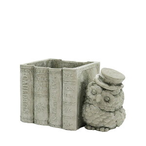 Aؔ  CARNAC/Be[WnEB|bg25-E-IV AC{[/GRHW09IVy01z[2] K[fjOE|pi t[|bg Zg