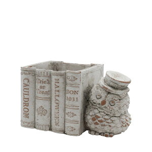 Aؔ  CARNAC/Be[WnEB|bg25-E-WH zCg/GRHW09WHy01z[2] K[fjOE|pi t[|bg Zg