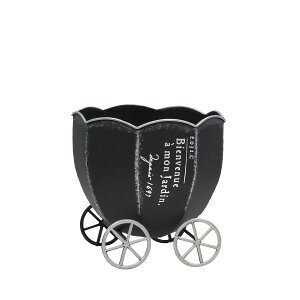 CARNAC/pvLJ[g|bg25-A-BK ubN/HSHW04BKy01z[2] K[fjOE|pi AؔEt[|bg ACAEuL