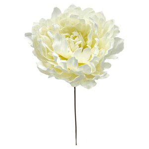 yԁzE8233 xxbgsIj[ N[/157-8233-12y01z ԁiA[eBtBVt[j  ԍށusv VNNi䉖jE{^iOjEsIj[