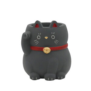 yΖӃZ[zAؔ  CARNAC/k[x|bg25-DLBK ubN/CPNY04BKy01z[4] K[fjOE|pi t[|bg Zg