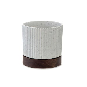 �A�ؔ� ������� POSH LIVING/�^�C�f�B�|�b�g �z���C�g/30772�y07�z �K�[�f�j���O�E���|�p�i �t�����[�|�b�g ����E�Z���~�b�N��