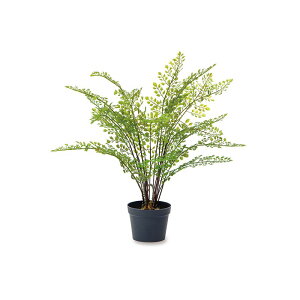 yԁzPOSH LIVING/AWA^/81126y07z ԁiA[eBtBVt[j ԗt ԁElHϗtA `100cm